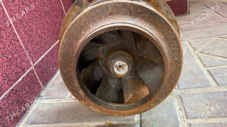 krylcatka - Çoganly - img 2