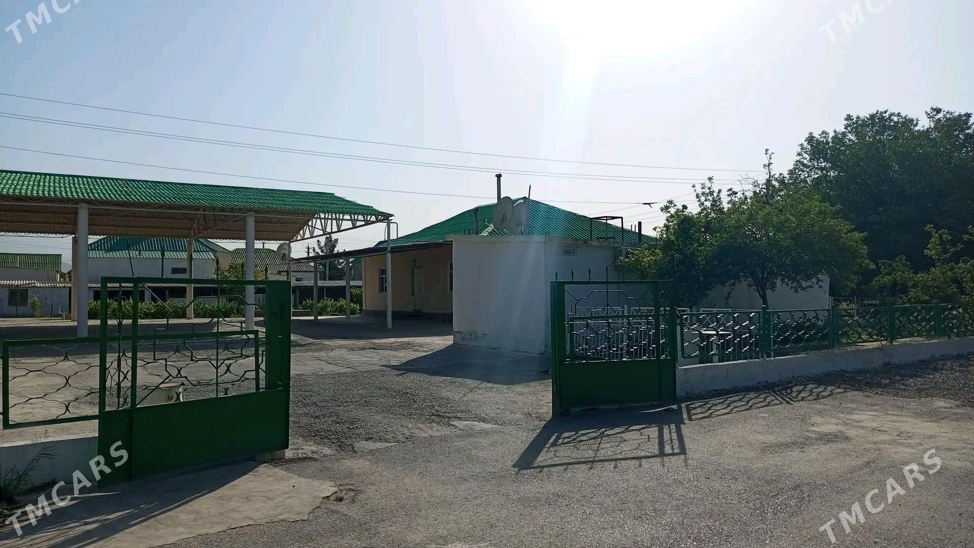 satlyk jaý mellek - Кипджак - img 2