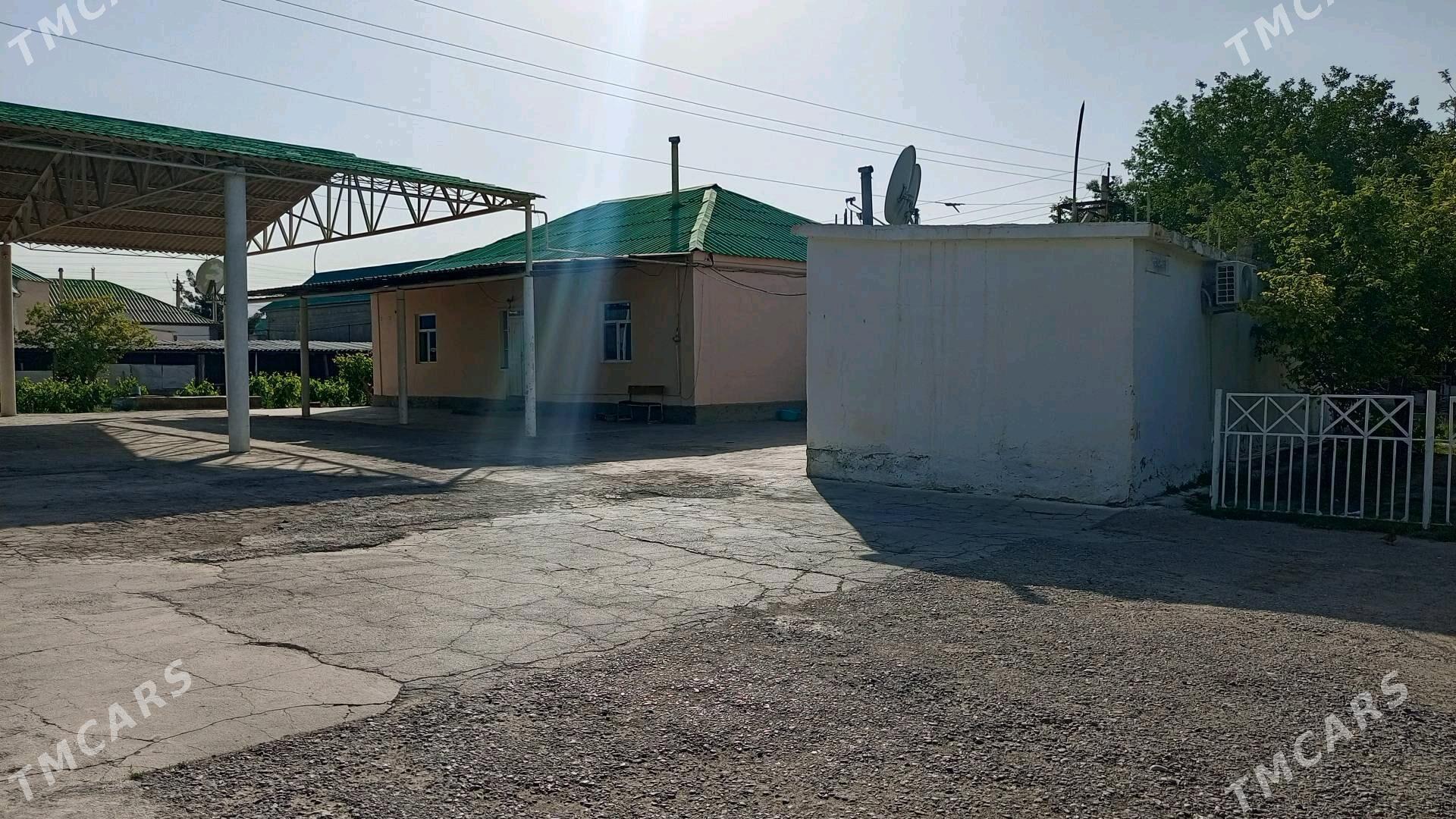 satlyk jaý mellek - Кипджак - img 3