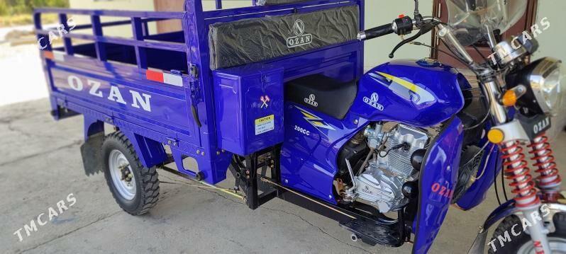 Fekon FK200-14G 2025 - 26 000 TMT - Ак-Бугдайский этрап - img 2