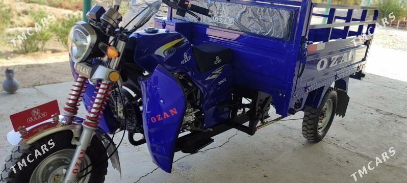 Fekon FK200-14G 2025 - 26 000 TMT - Ак-Бугдайский этрап - img 3