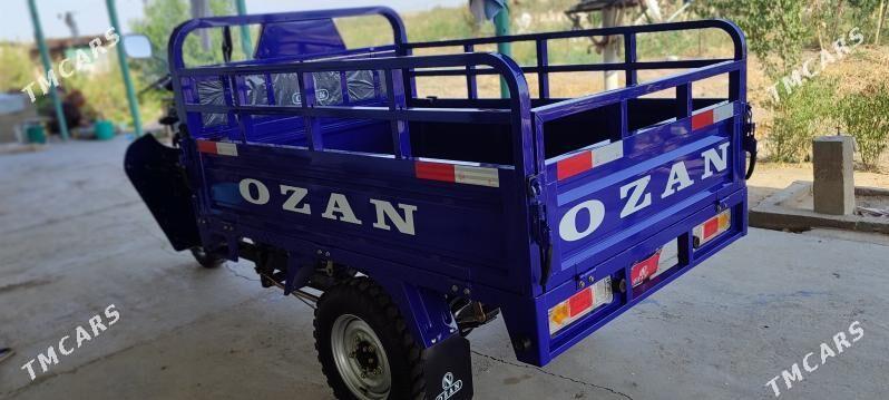 Fekon FK200-14G 2025 - 26 000 TMT - Ак-Бугдайский этрап - img 6