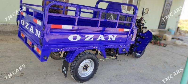 Fekon FK200-14G 2025 - 26 000 TMT - Ак-Бугдайский этрап - img 5