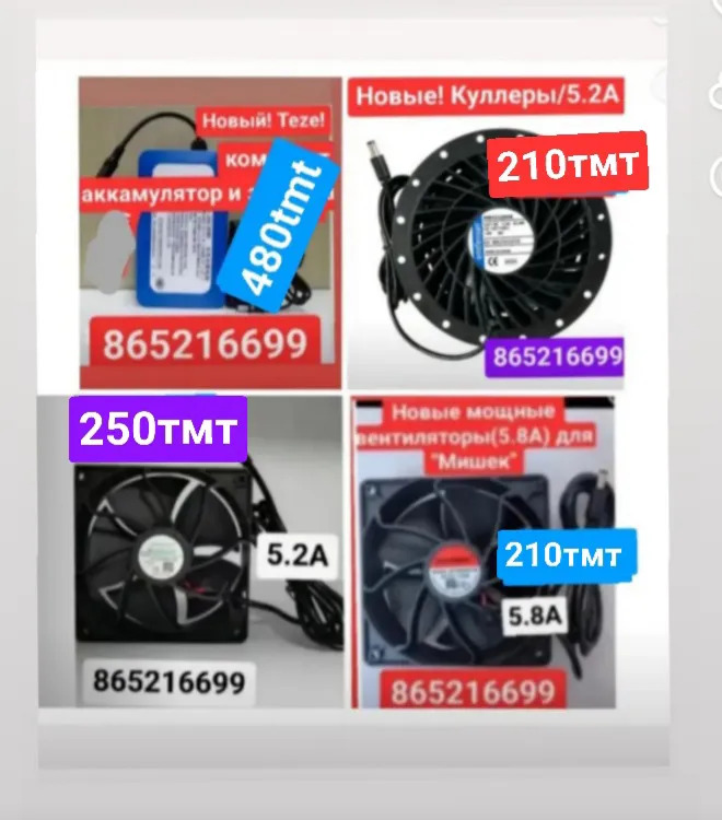 mişka aežbawa зайка товшан - 6 mkr - img 10