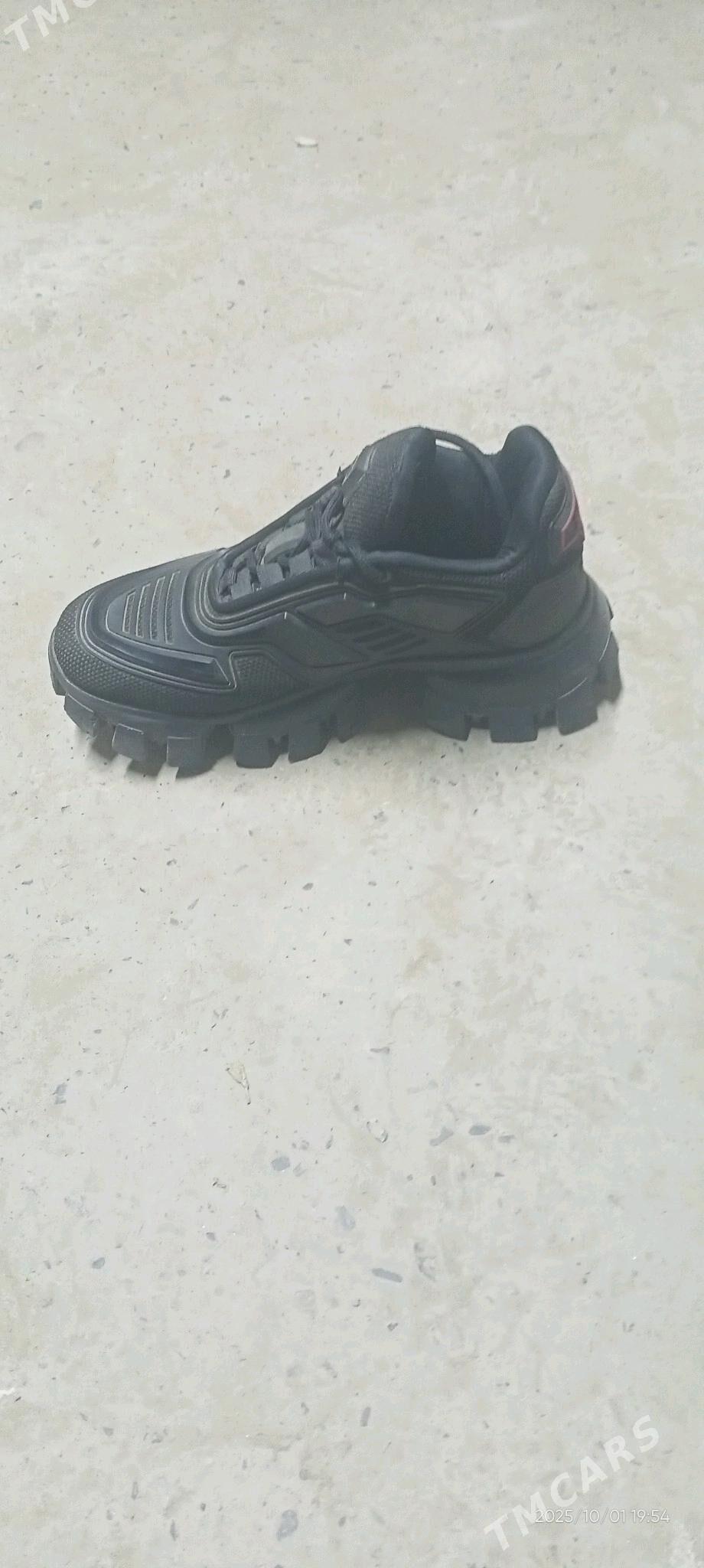 Arginal tretiski krasofka - Çärjew - img 3