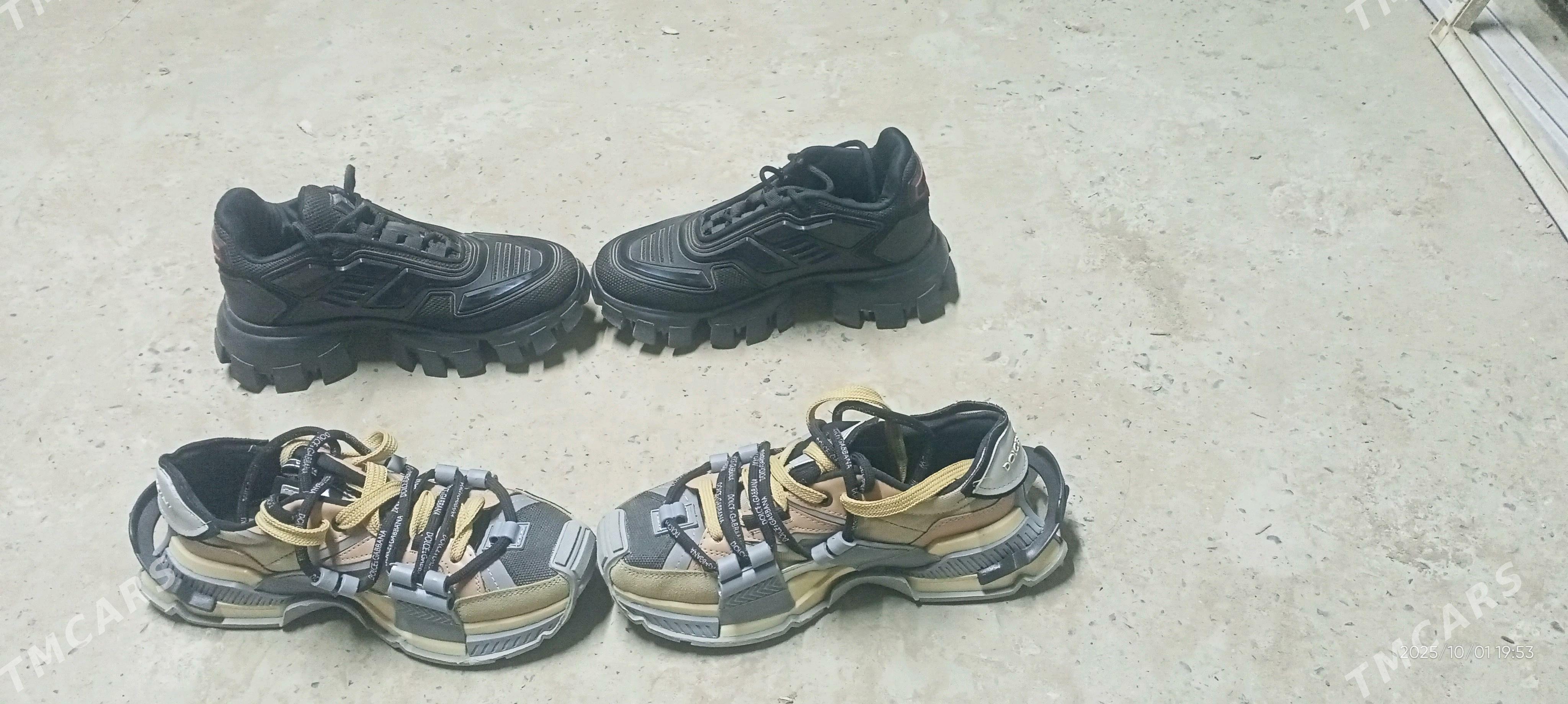 Arginal tretiski krasofka - Çärjew - img 5