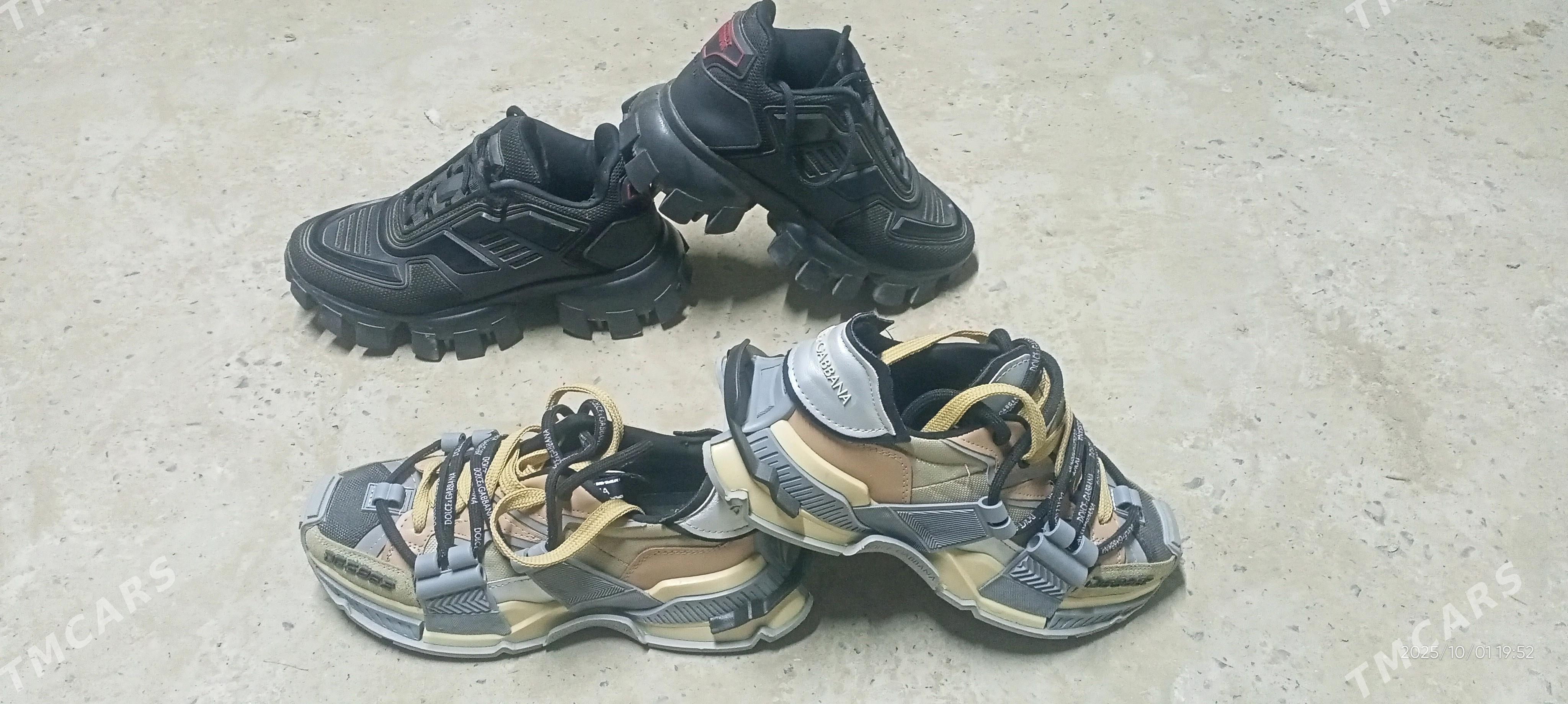 Arginal tretiski krasofka - Çärjew - img 6