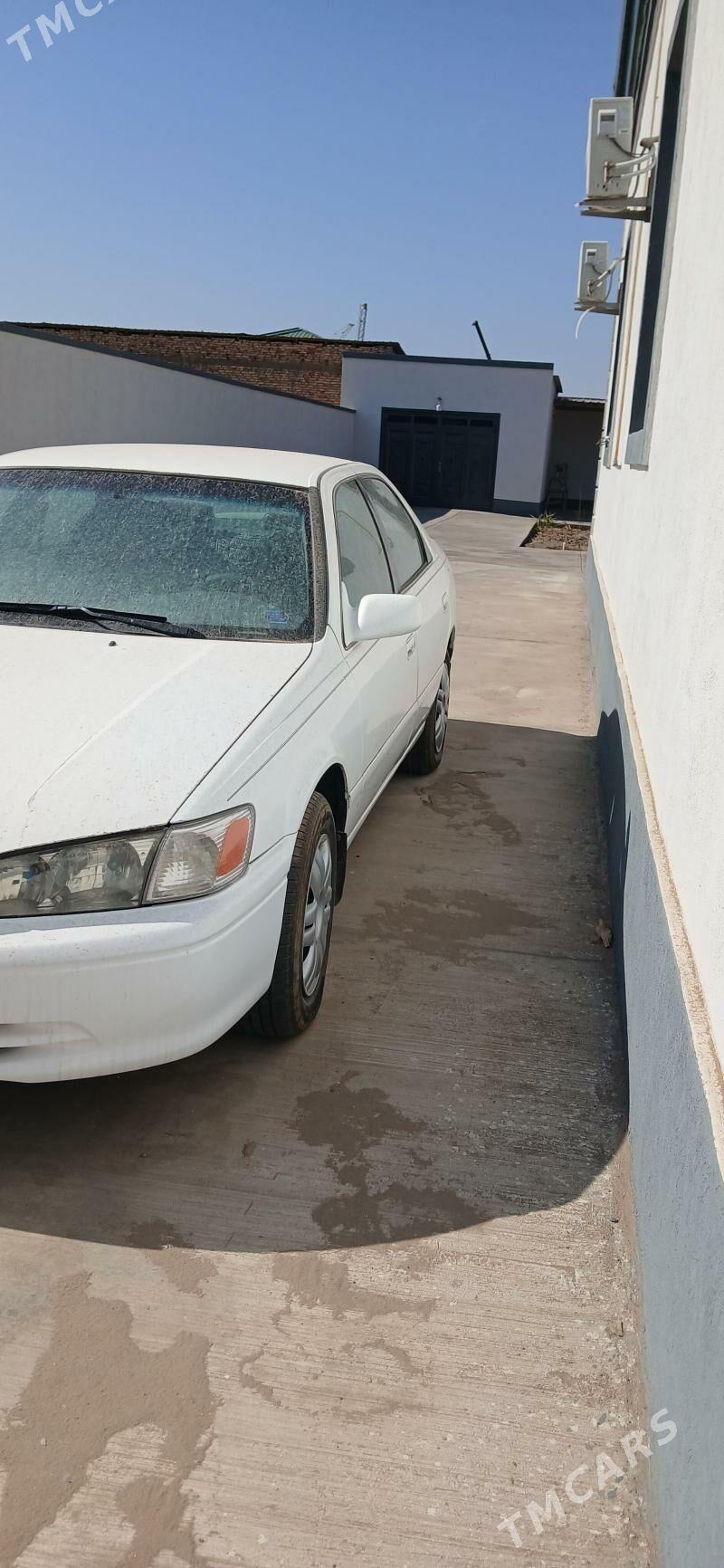 Toyota Camry 2000 - 150 000 TMT - Daşoguz - img 3