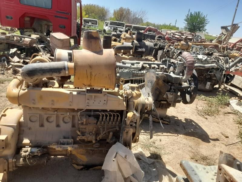 Ligonug  mator 50 000 TMT - Мары - img 1