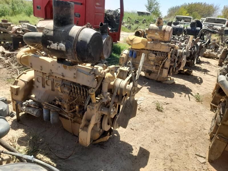 Ligonug  mator 50 000 TMT - Мары - img 2