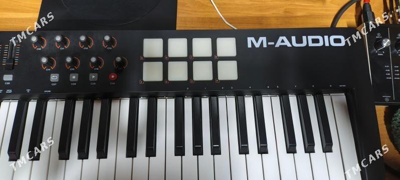 Midi m audio oxygen61 - Ашхабад - img 2