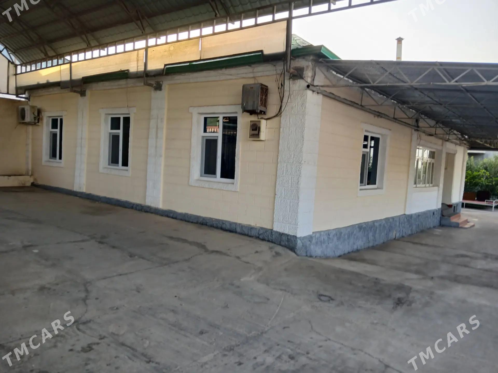 Satlyk jaý amatly bahada - Bagyr - img 6