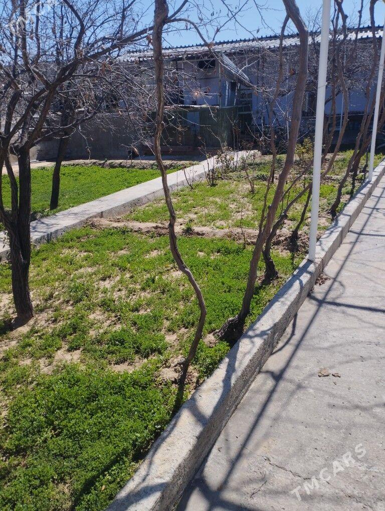 dacha garawul - Aşgabat - img 1