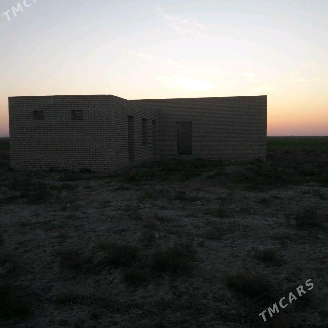 jay 12 sotyk - Baýramaly - img 3