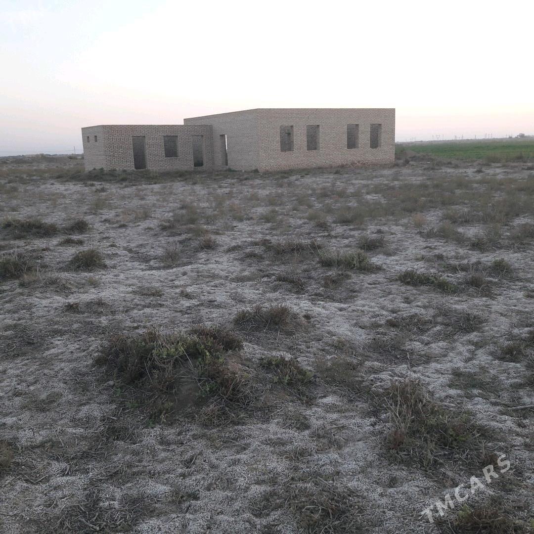 jay 12 sotyk - Baýramaly - img 2