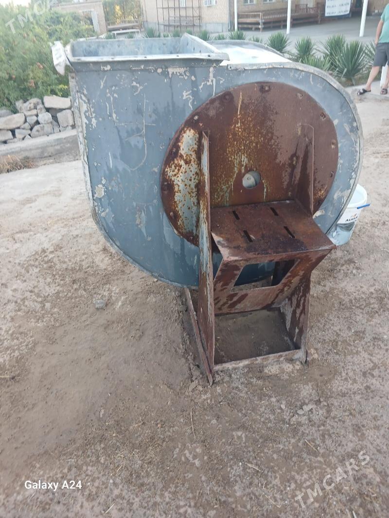 Howa soryjy( Вытечка) ulsy - Mary - img 1