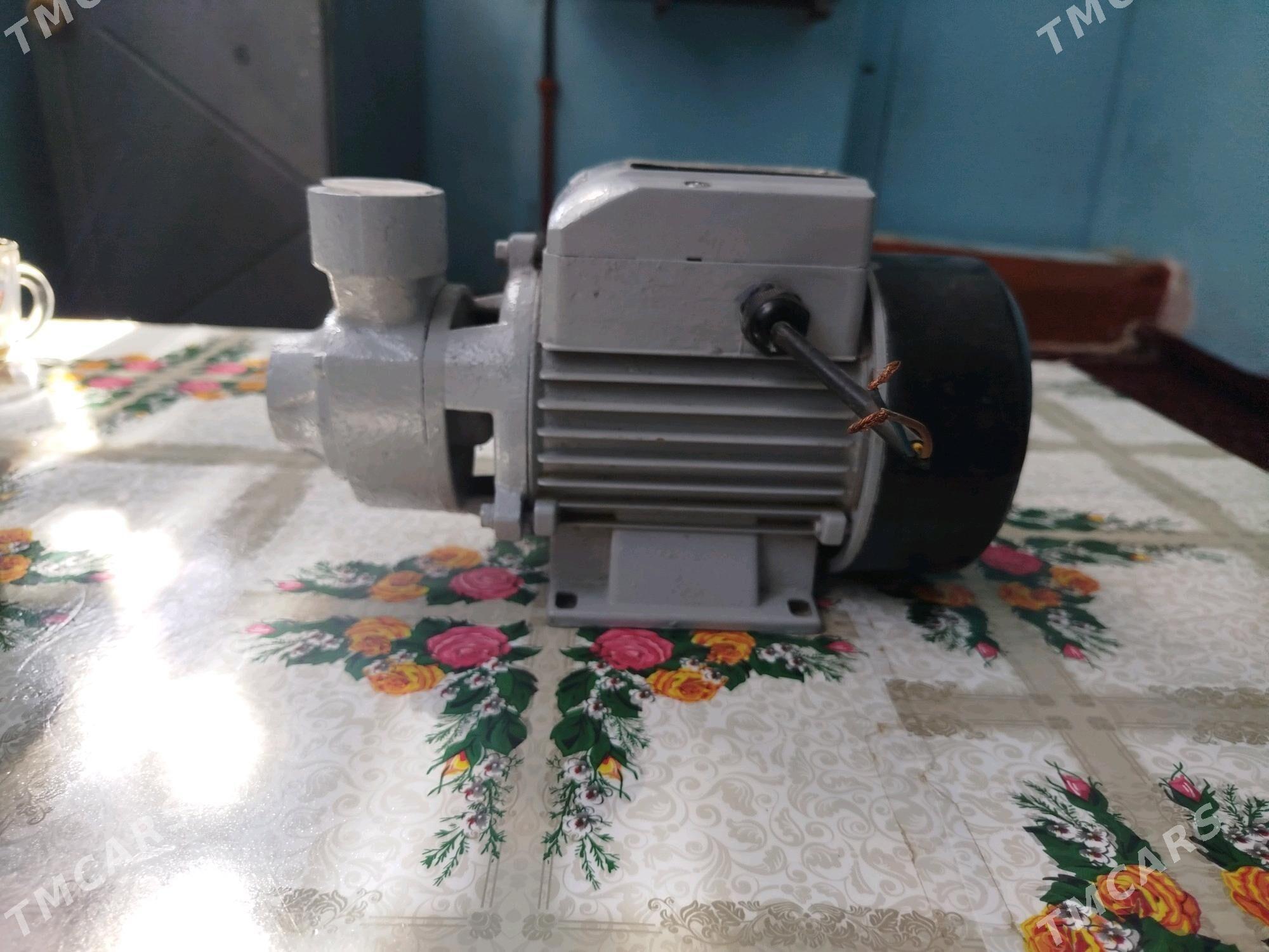 60 lyk simga - Mary - img 2