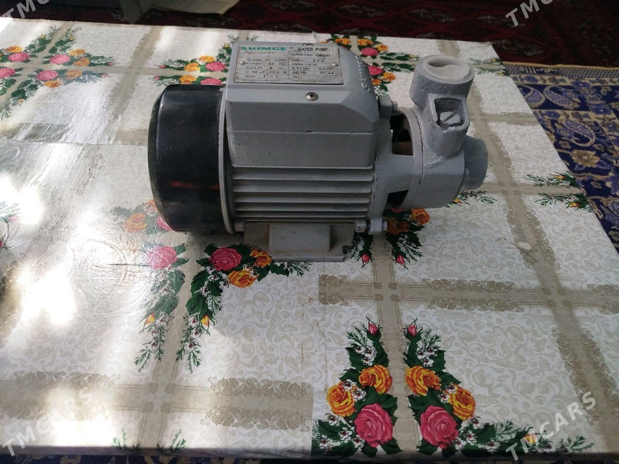 60 lyk simga - Mary - img 3