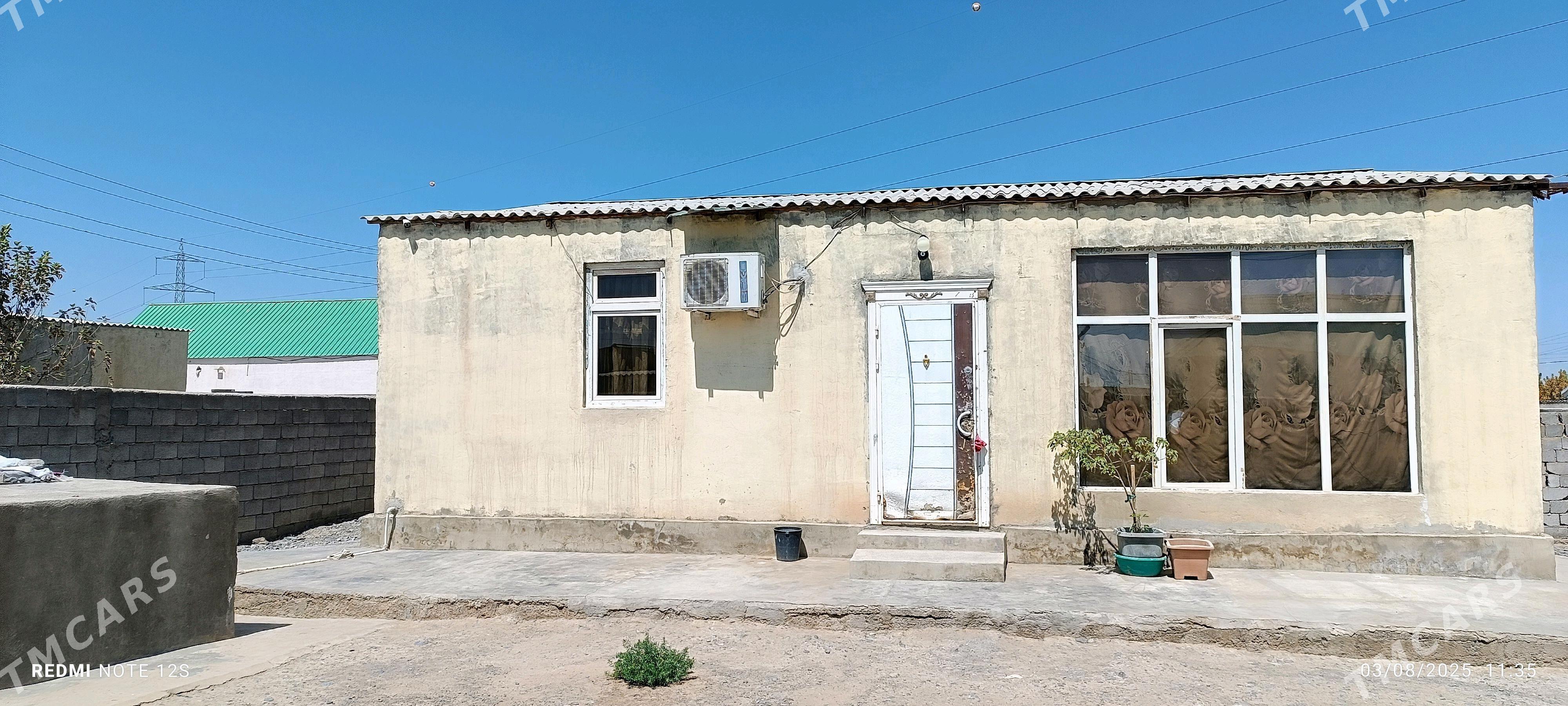 jay - Büzmeýin - img 4