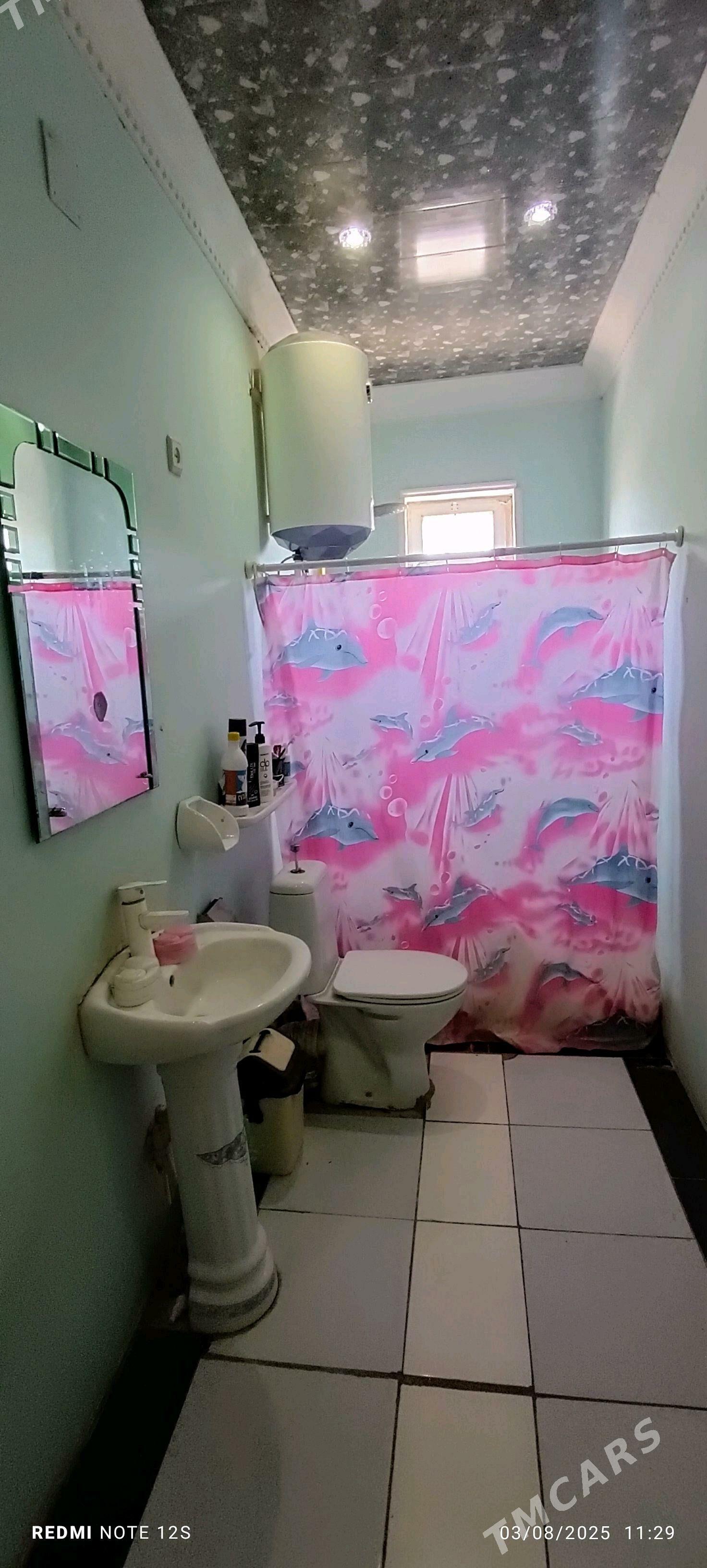 jay - Büzmeýin - img 5