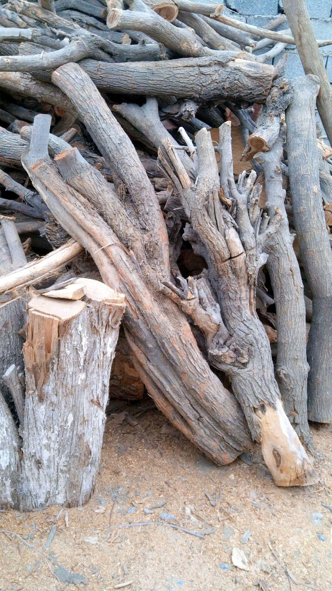 odun tonne - Gökdepe - img 2