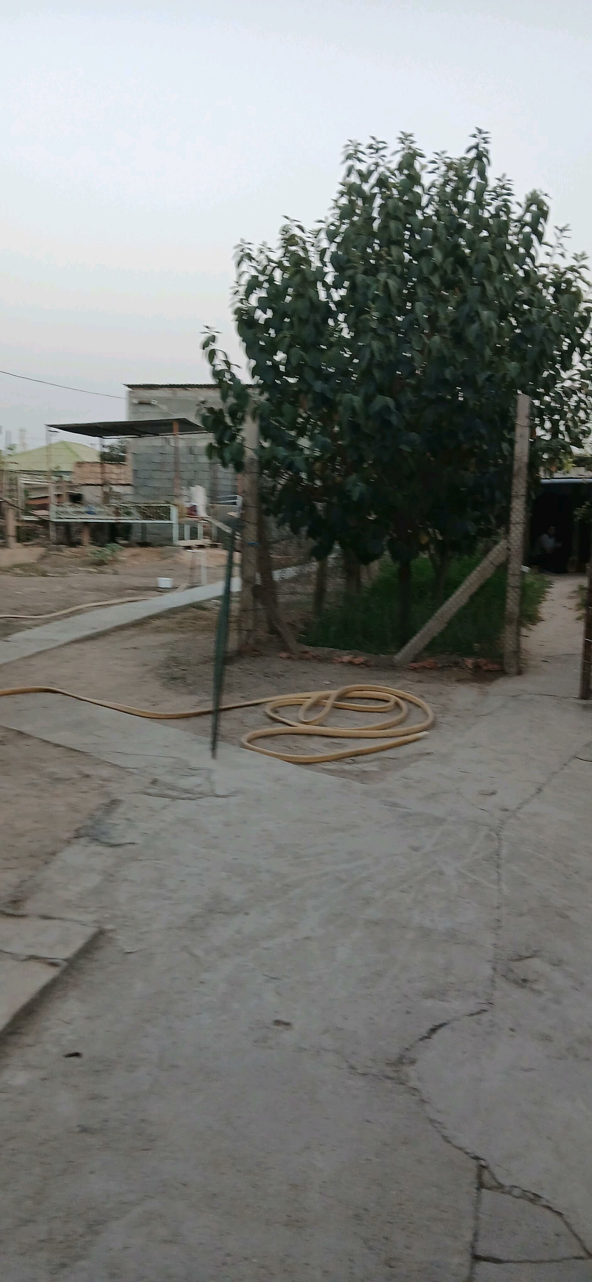 Eyesinden Bagyr Merkez 8 sotok - Багир - img 3