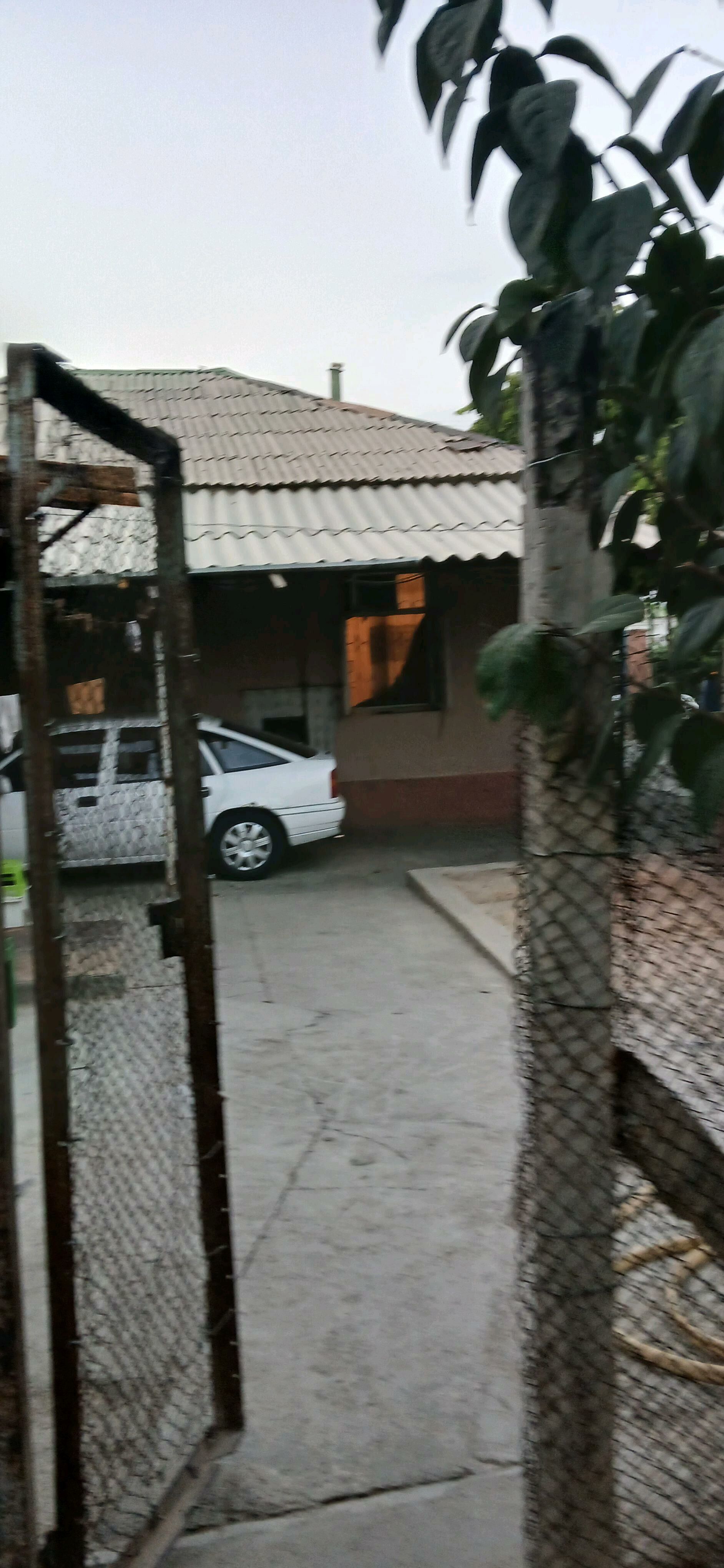 Eyesinden Bagyr Merkez 8 sotok - Багир - img 2