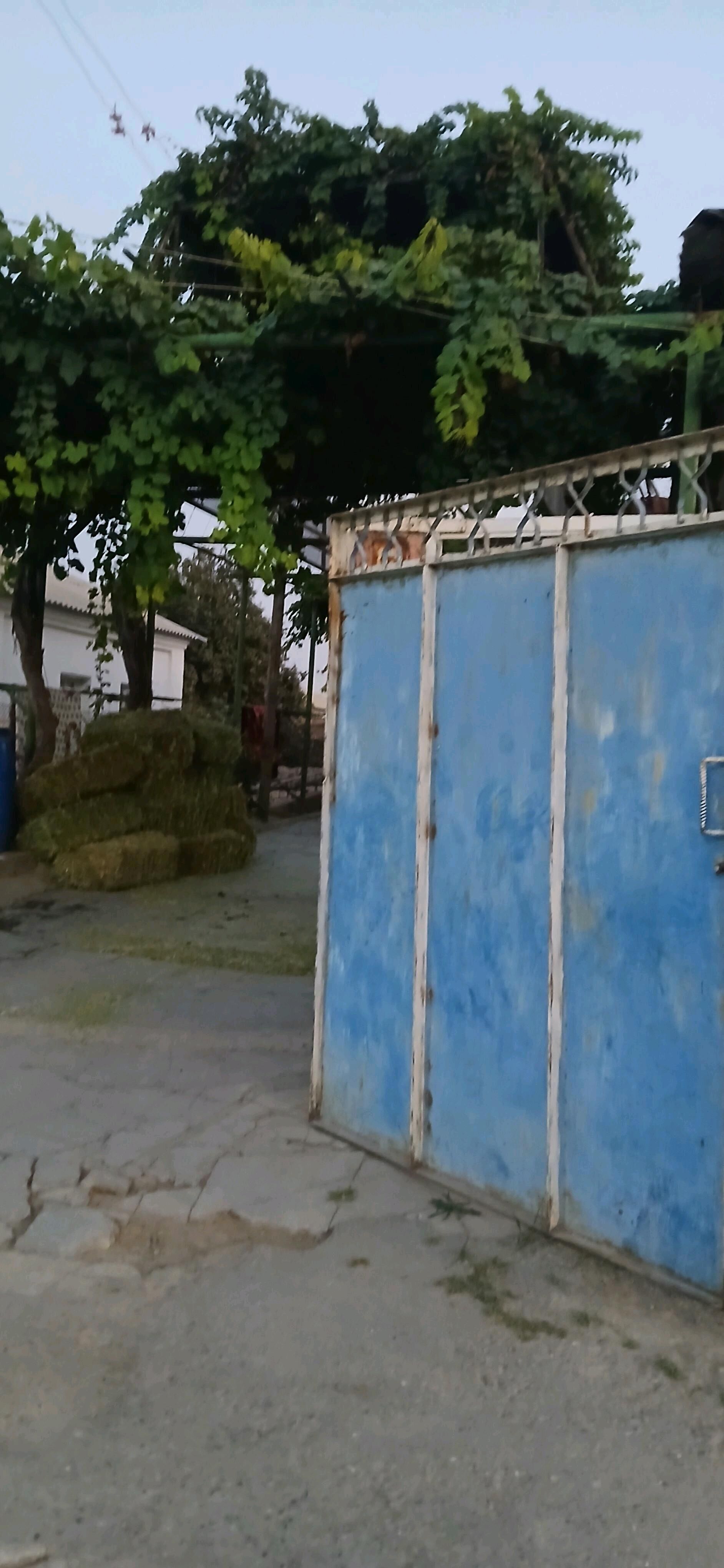 Eyesinden Bagyr Merkez 8 sotok - Багир - img 4