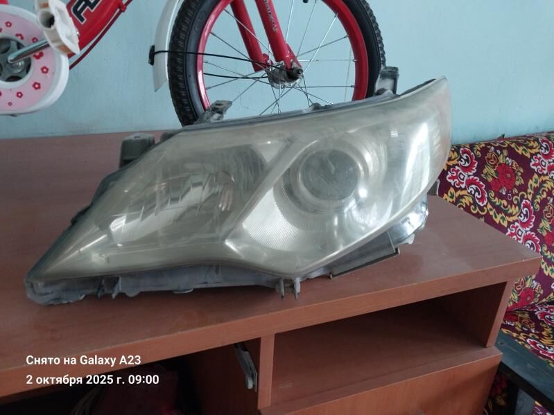 Palta cemry fara 300 TMT - Gökdepe - img 2