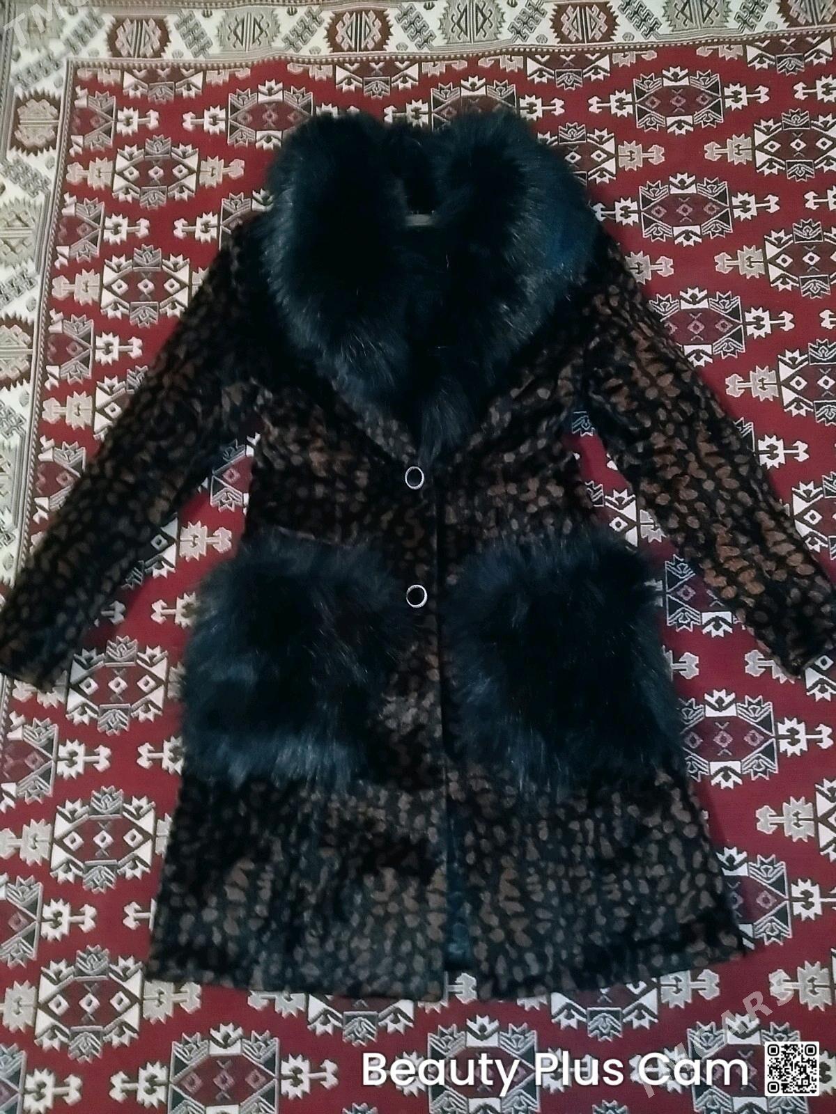 Şuba - Türkmenbaşy - img 2