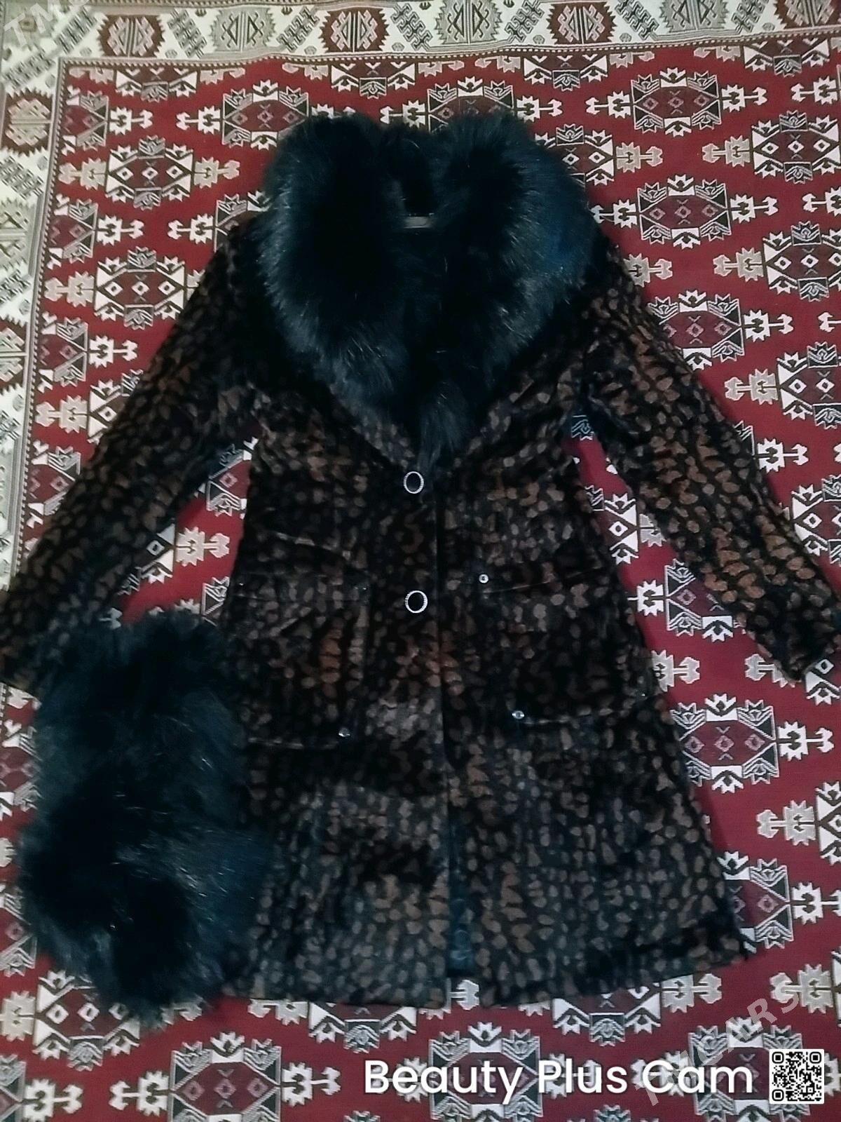 Şuba - Türkmenbaşy - img 3