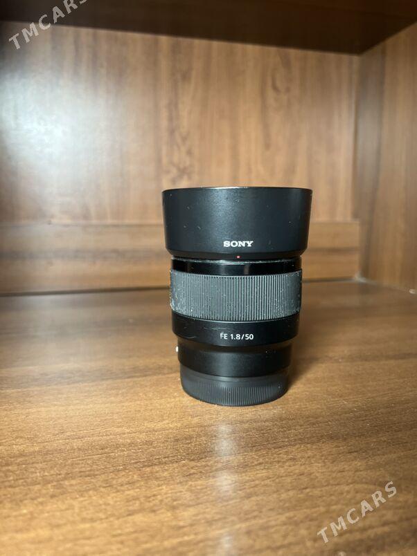 Sony 50mm F1.8 - 5 мкр - img 2