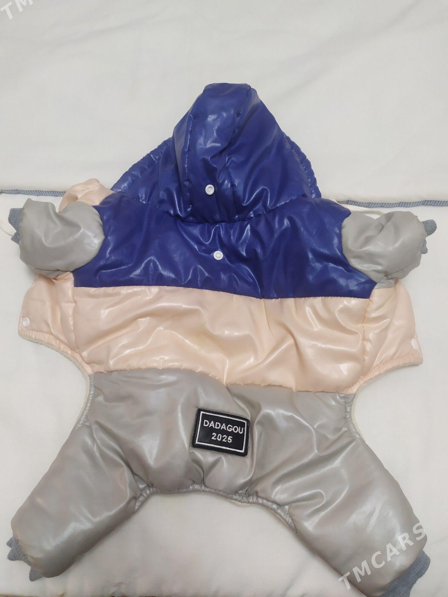 комбинезон - Türkmenabat - img 1