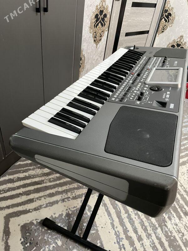 Korg Pa-900 zwer - Daşoguz - img 3