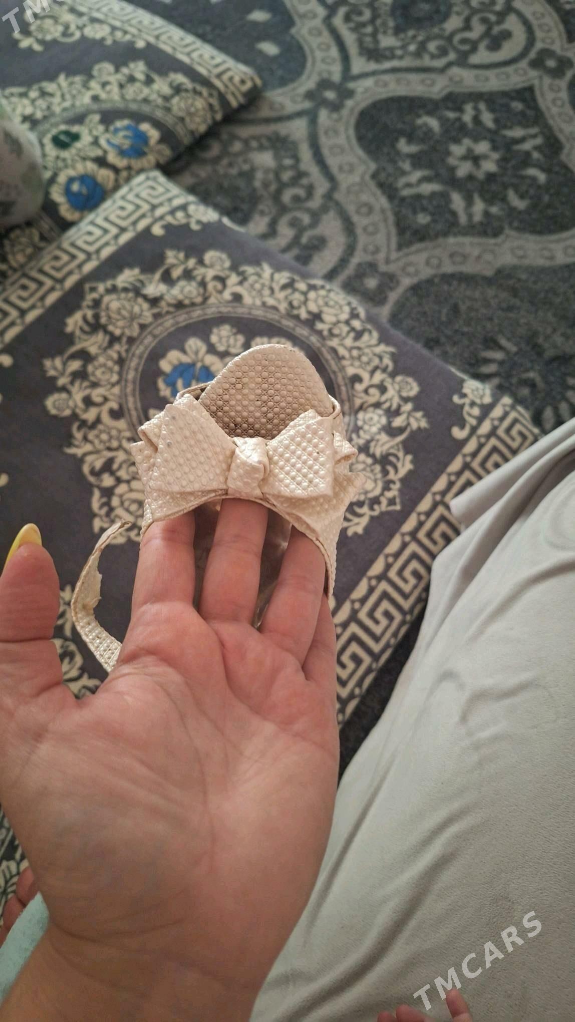 отдам даром басаножек - Daşoguz - img 4