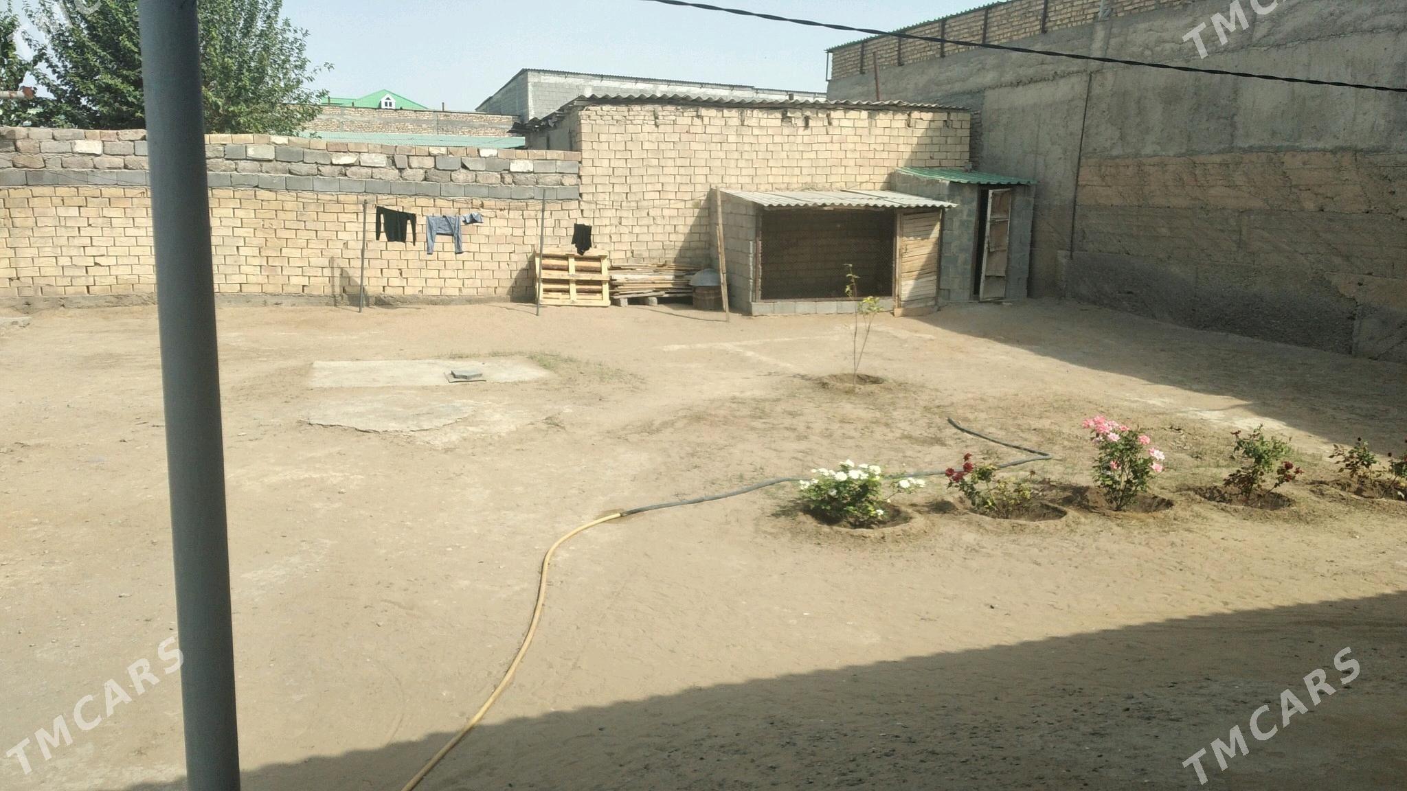 jaý 4 komnat + - Чоганлы - img 2