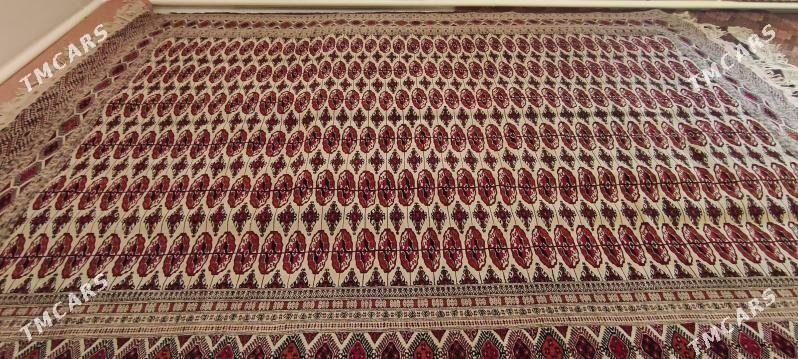 el haly 3/5 - Бахарден - img 1