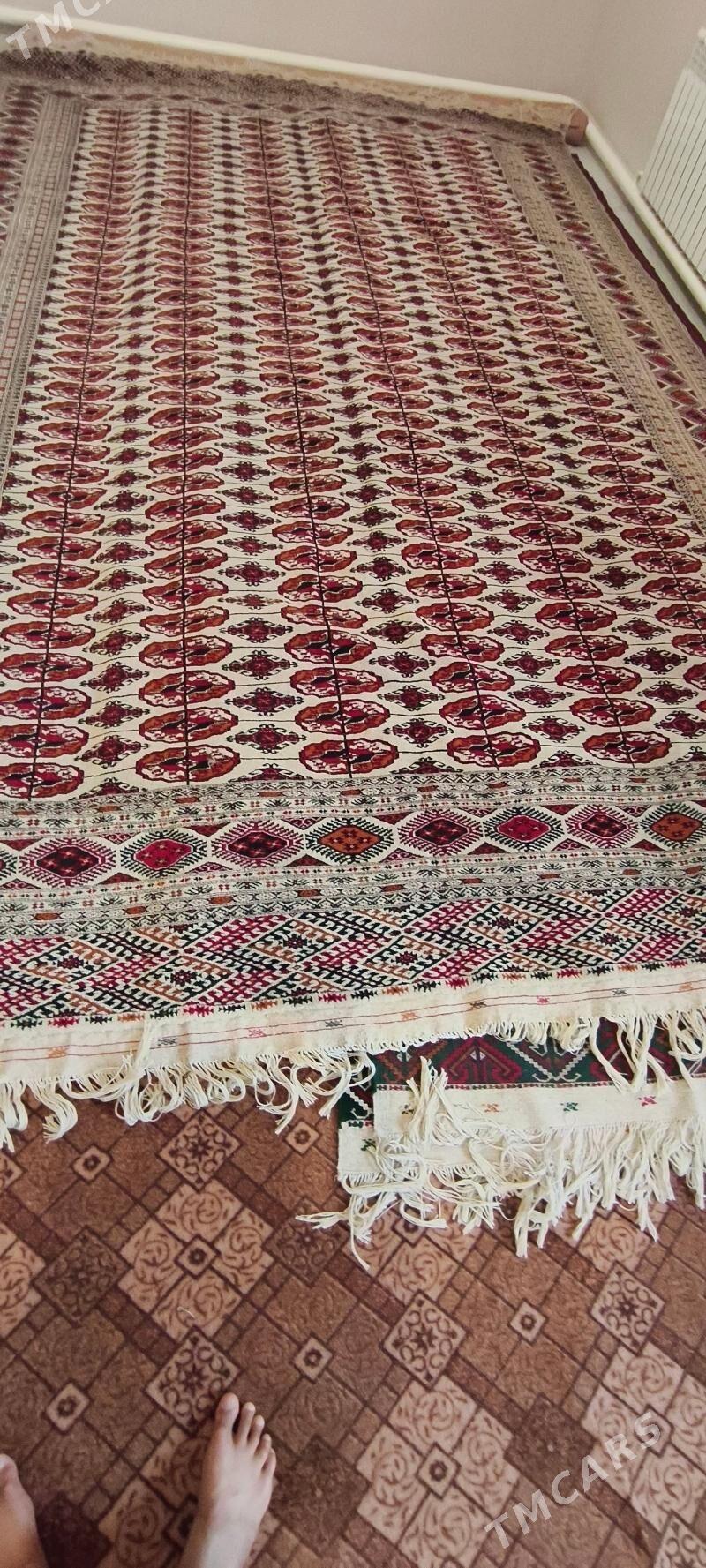 el haly 3/5 - Бахарден - img 2