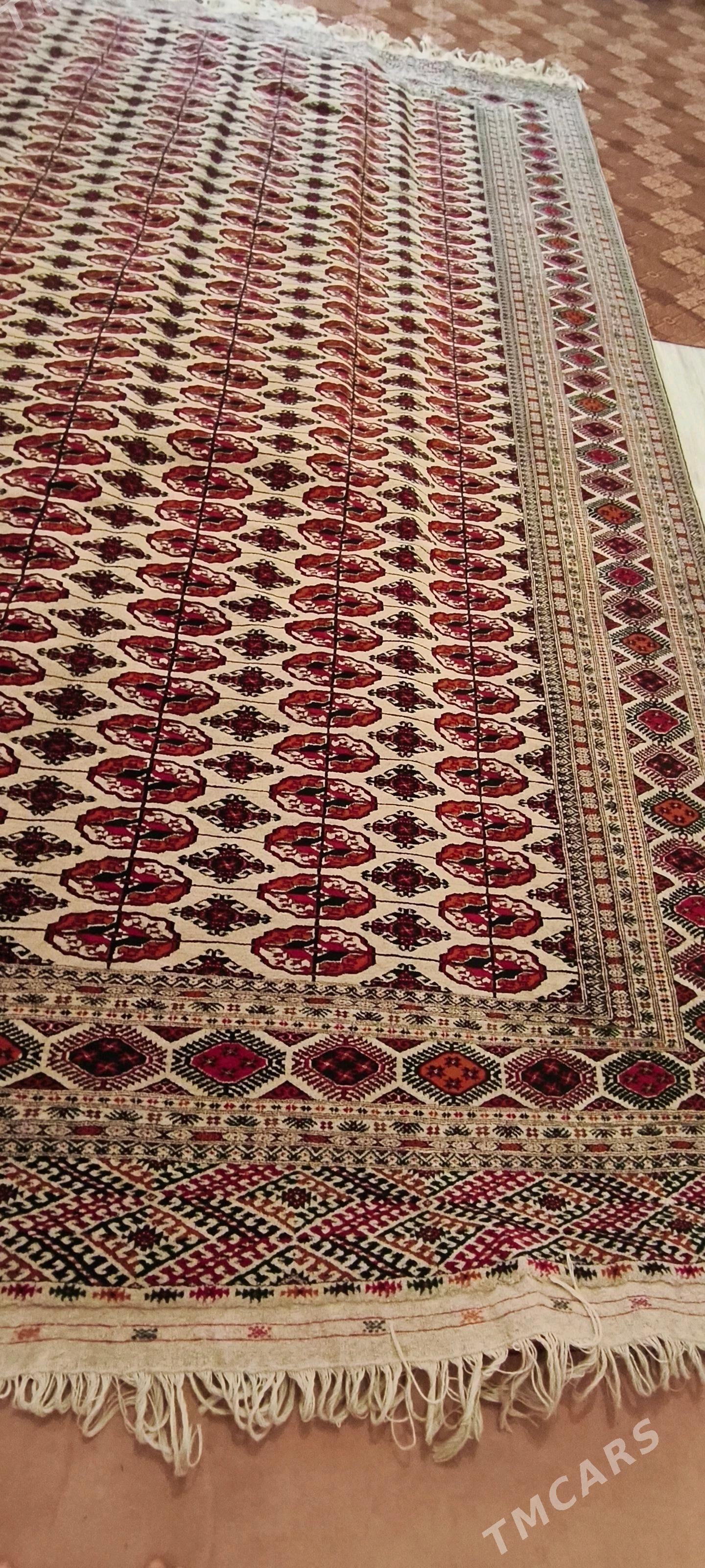 el haly 3/5 - Бахарден - img 3