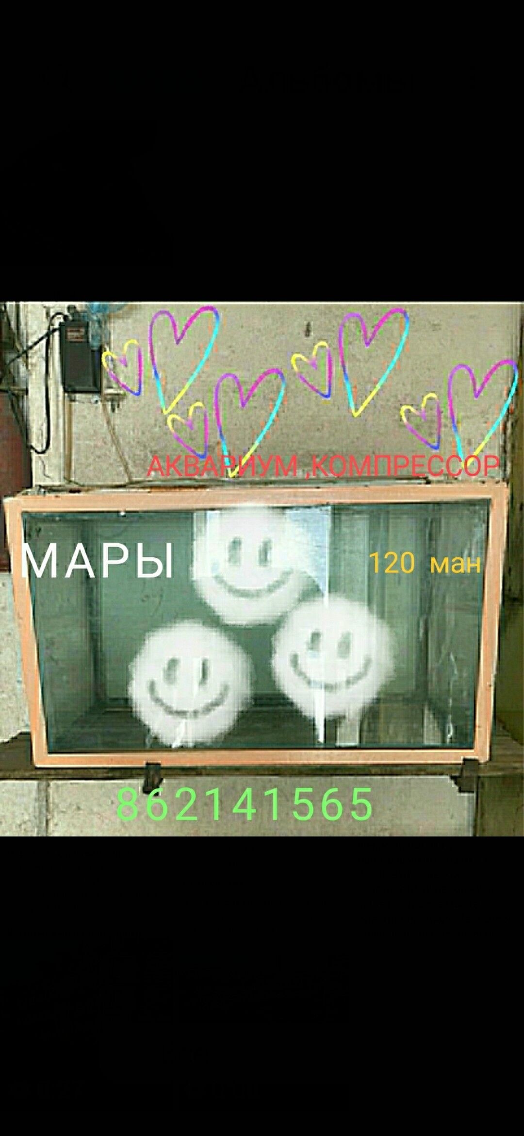 аквариум - Мары - img 2