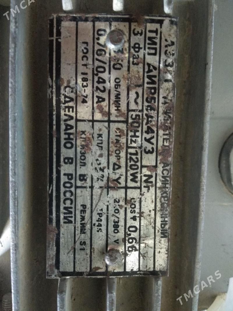 точила tocila - Mary - img 2