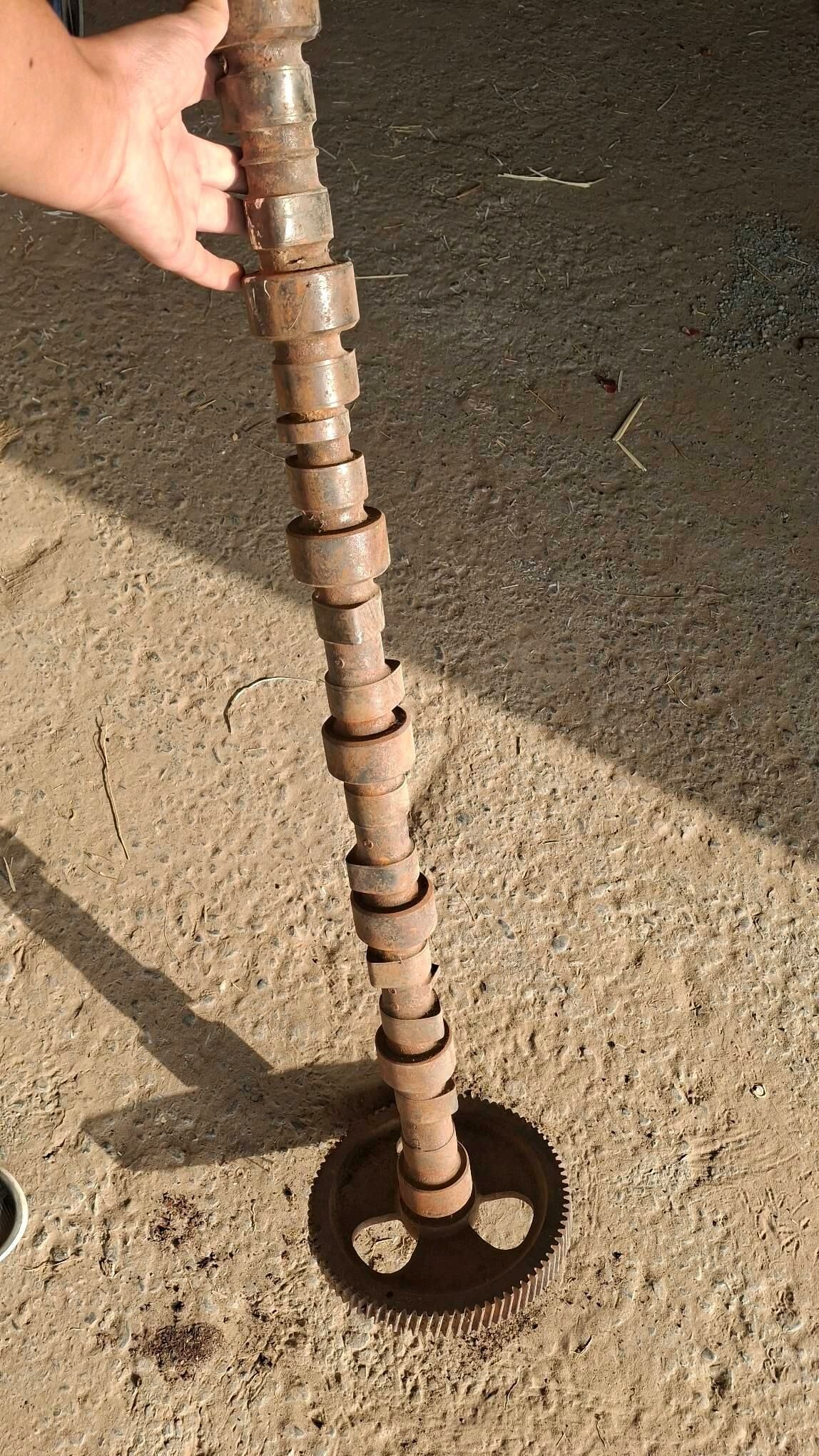 Case Rasrediwal 1 100 TMT - Чоганлы - img 2