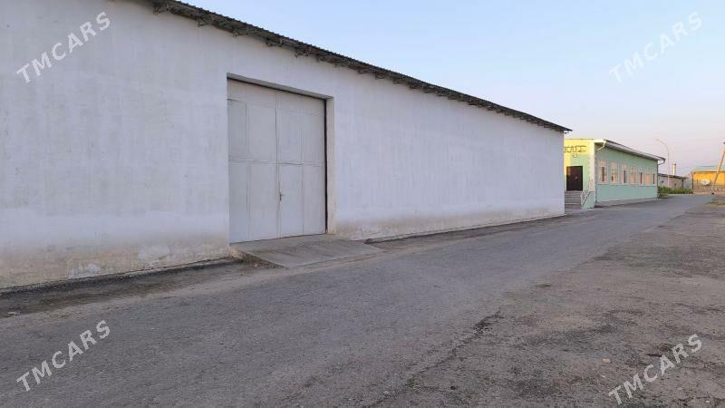 Ýyladyşhana (teplisa) - Чарджоу - img 3