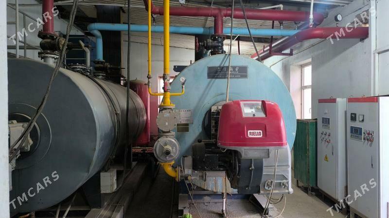 Ýyladyşhana (teplisa) - Чарджоу - img 6