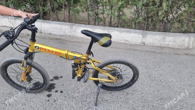 tigir - 11 mkr - img 2