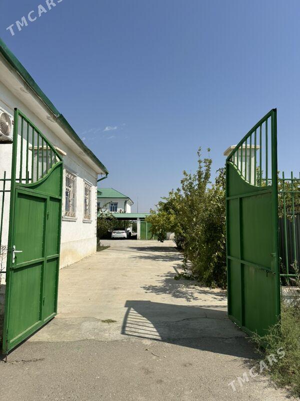 Taze Zaman 3komnat - Aşgabat - img 2