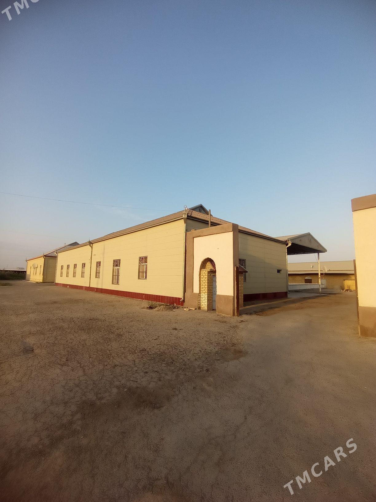 Mary Векилбазар Гонур - Векильбазар - img 8