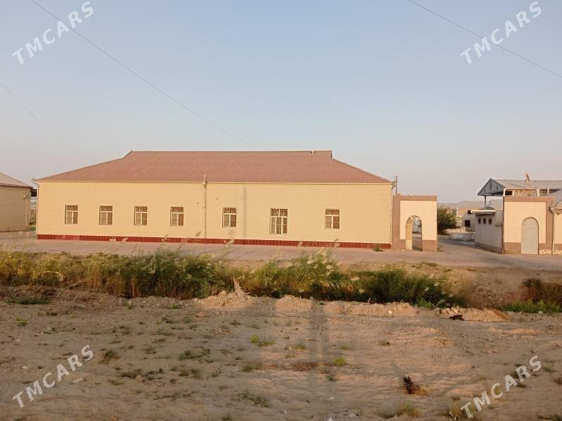 Mary Векилбазар Гонур - Векильбазар - img 1