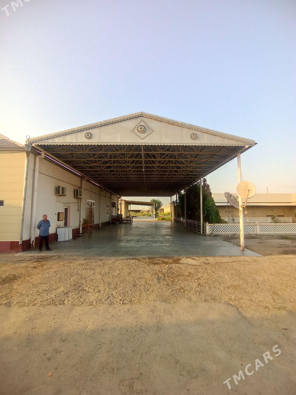 Mary Векилбазар Гонур - Векильбазар - img 2