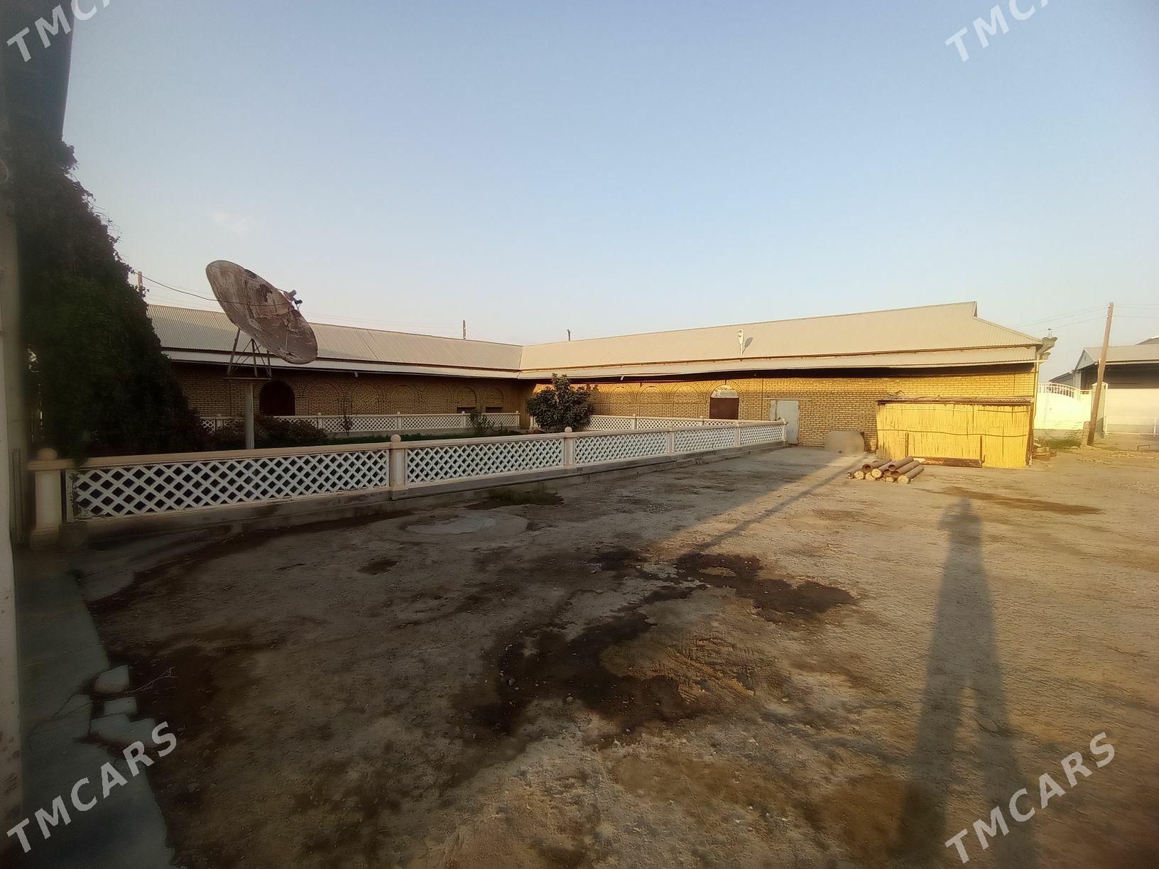 Mary Векилбазар Гонур - Векильбазар - img 3